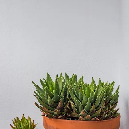 Gloria Amazing View * Lisbon